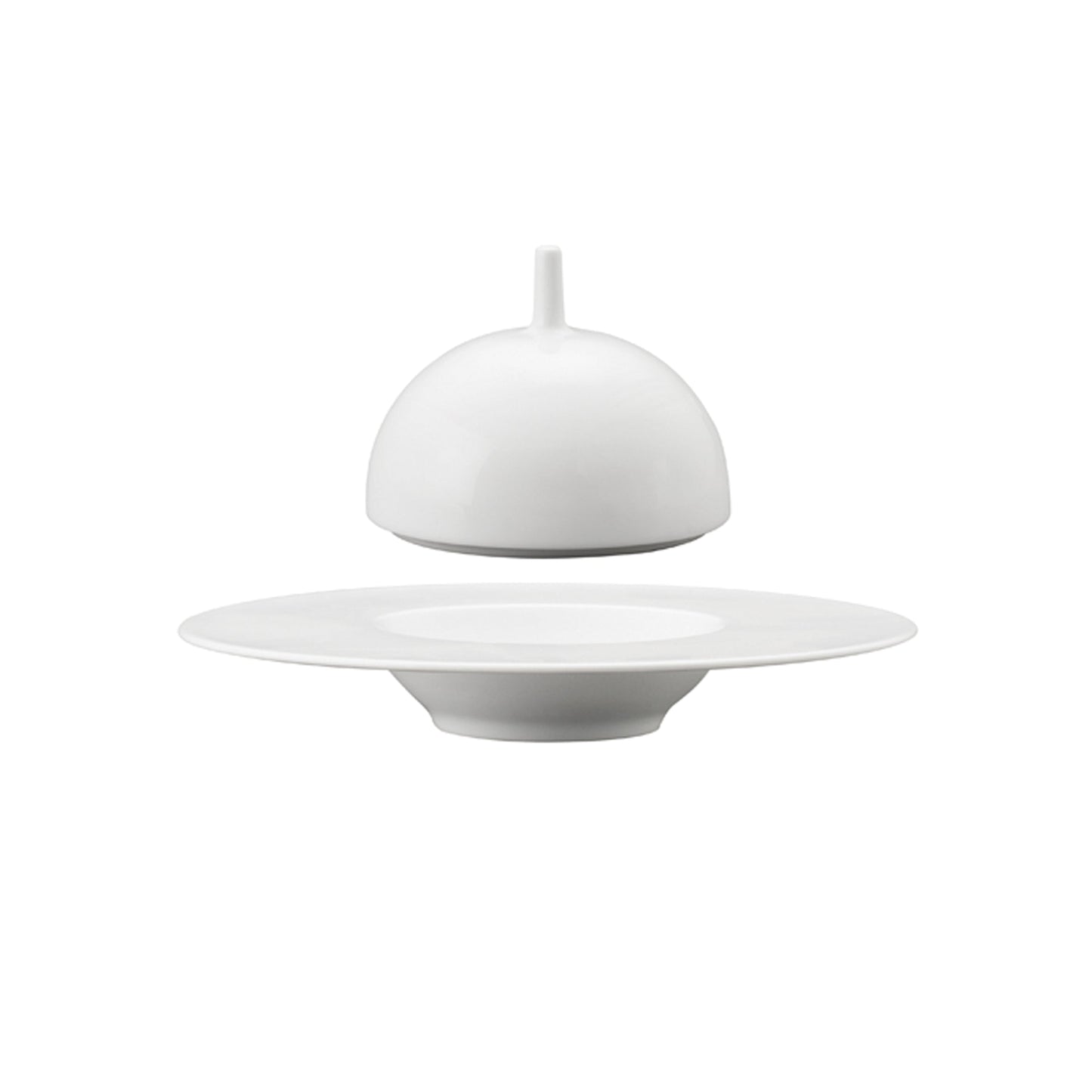 Piatto Fondo Gourmet Saturno Ø Cm.25 Interno Ø Cm.12 - Confezione da 4 Pz.