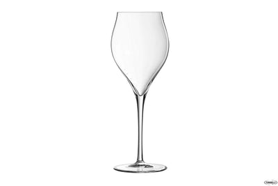 Exaltation - Calice Flut Cl 30