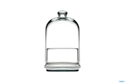 Patisserie Midi-Contenitore H.19Cm Liscio 96889-1113568