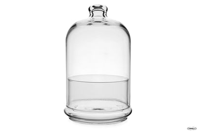 Patisserie Midi-Contenitore H.Cm 19 Ottico 96701