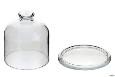 Basic-Piatto Con Campana Cm10 H9,9 98397