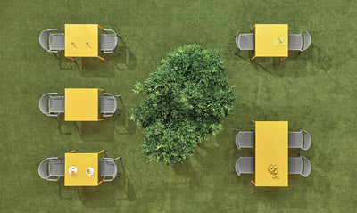 Sedia dome traforata con braccioli - confezione da 4