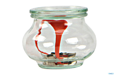 Weck R Deco - Vasetto Lt.1,06 Con Coperchio 100Mm 748