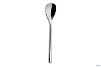 Canada Cucchiaio Tavola 4Mm Inox 6541